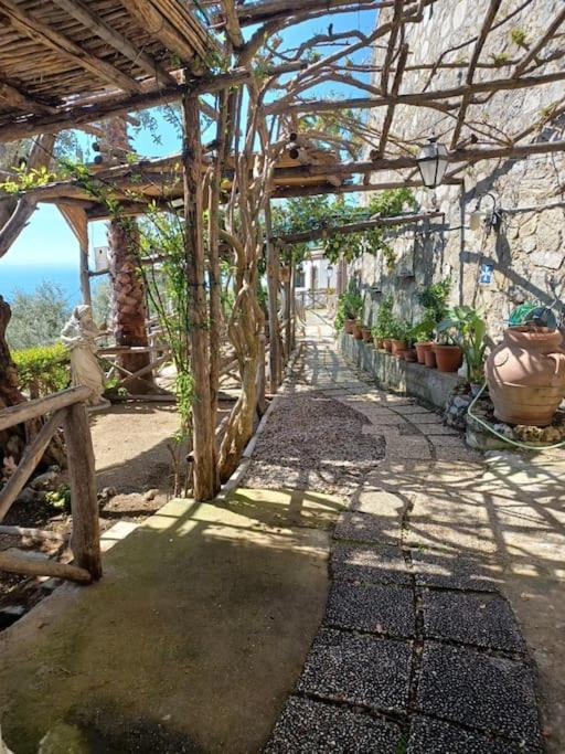 Panoramic In * Amalfi